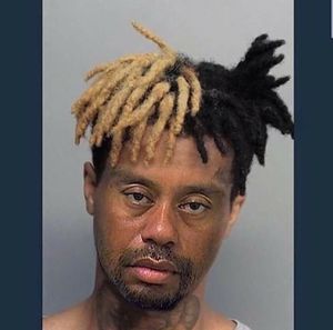 Meet your Posher, Gary